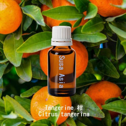 單方精油 Tangerine 柑