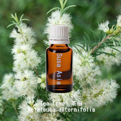單方精油 Tea Tree  茶樹