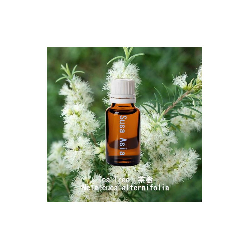 單方精油 Tea Tree  茶樹