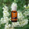 單方精油 Tea Tree  茶樹