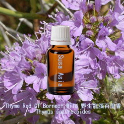 單方精油 Thyme Red CT Borneol Wild 野生龍腦百里香