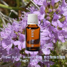 單方精油 Thyme Red CT Borneol Wild 野生龍腦百里香