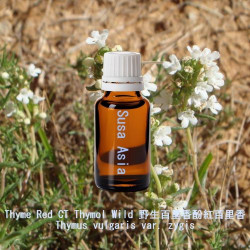 單方精油 Thyme Red CT Thymol Wild 野生百里香酚紅百里香