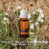 單方精油 Thyme Red CT Thymol Wild 野生百里香酚紅百里香