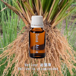 單方精油 Vetiver 岩蘭草