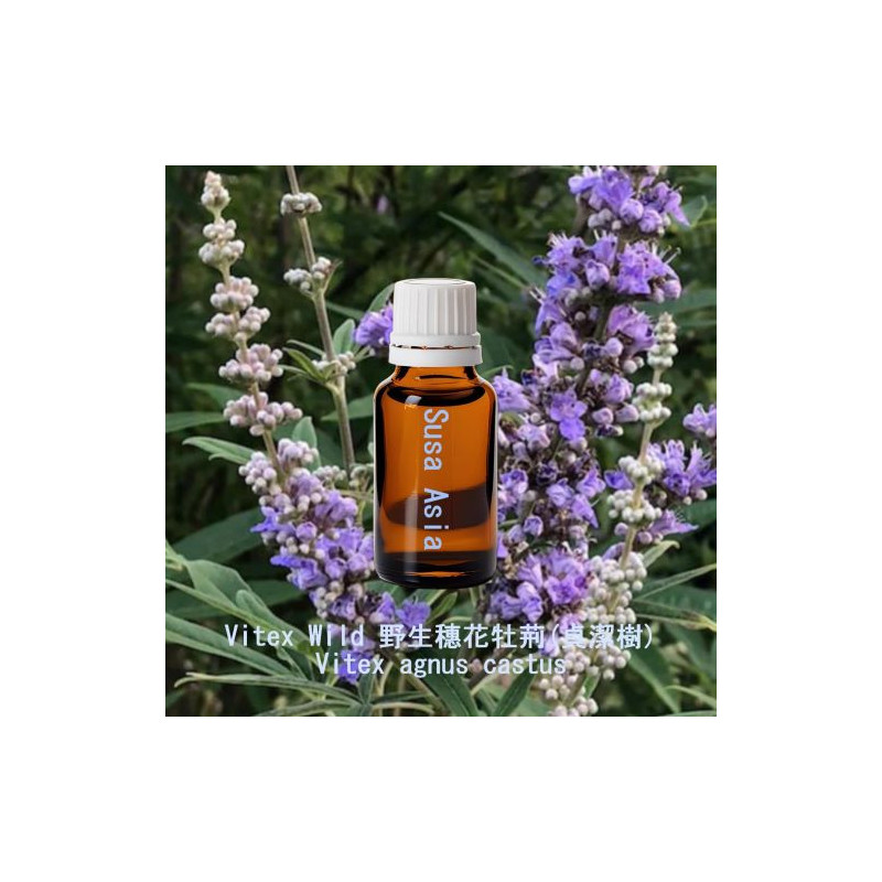 Vitex Wild - Vitex agnus castus