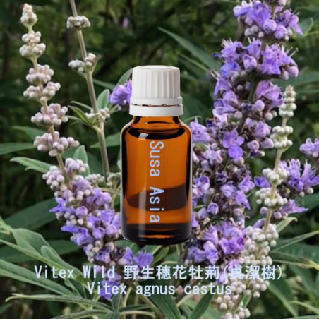 Vitex Wild - Vitex agnus castus