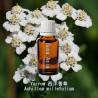 單方精油 Yarrow 西洋蓍草