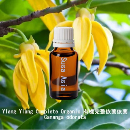 Ylang Ylang Complete Organic - Cananga odorata
