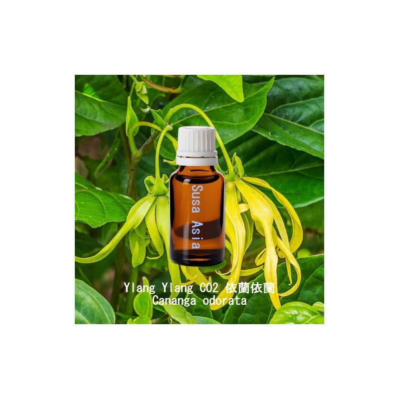 Ylang Ylang CO2 - Cananga odorata