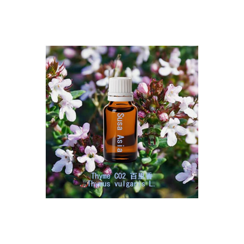 Thyme CO2 - Thymus vulgaris