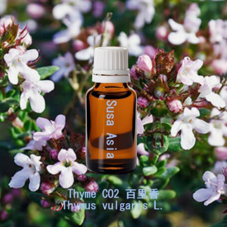 Thyme CO2 - Thymus vulgaris