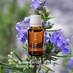 Rosemary CO2 - Rosemarinus officianlis