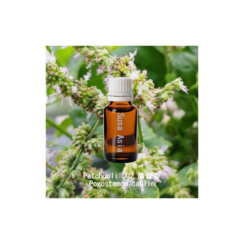 Patchouli CO2 - Pogostemon cablin