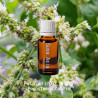 Patchouli CO2 - Pogostemon cablin