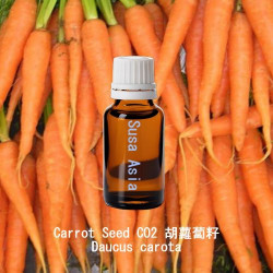 Carrot Seed CO2 胡蘿蔔籽