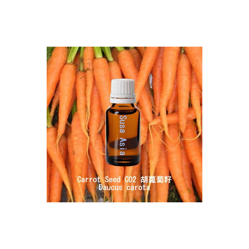 Carrot Seed CO2 胡蘿蔔籽