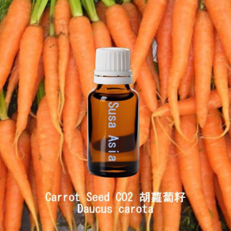 Carrot Seed CO2 胡蘿蔔籽