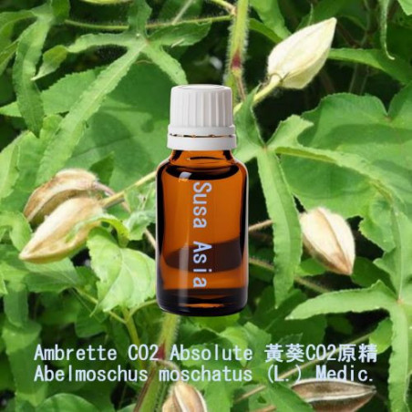 Ambrette CO2 Absolute 黃葵CO2原精