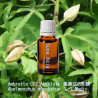 Ambrette CO2 Absolute 黃葵CO2原精