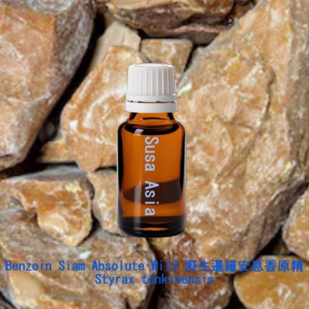 Benzoin Siam Absolute Wild 野生暹羅安息香原精