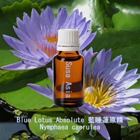 Blue Lotus Absolute 藍睡蓮原精