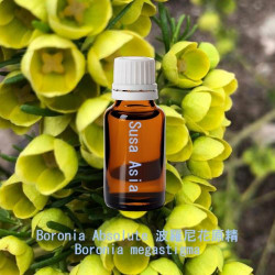 Boronia Absolute 波羅尼花原精
