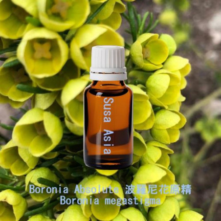 Boronia Absolute 波羅尼花原精