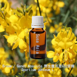 Broom / Genet CO2 Absolute Wild - Spartium Junceum