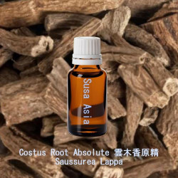 Costus Root Absolute - Saussurea Lappa