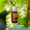 Hops Absolute 啤酒花原精