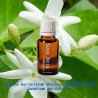Jasmine Auriculatum Absolute 神聖瑞茉莉原精