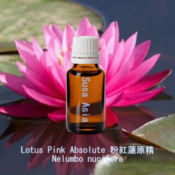 Lotus Pink Absolute 粉紅蓮原精