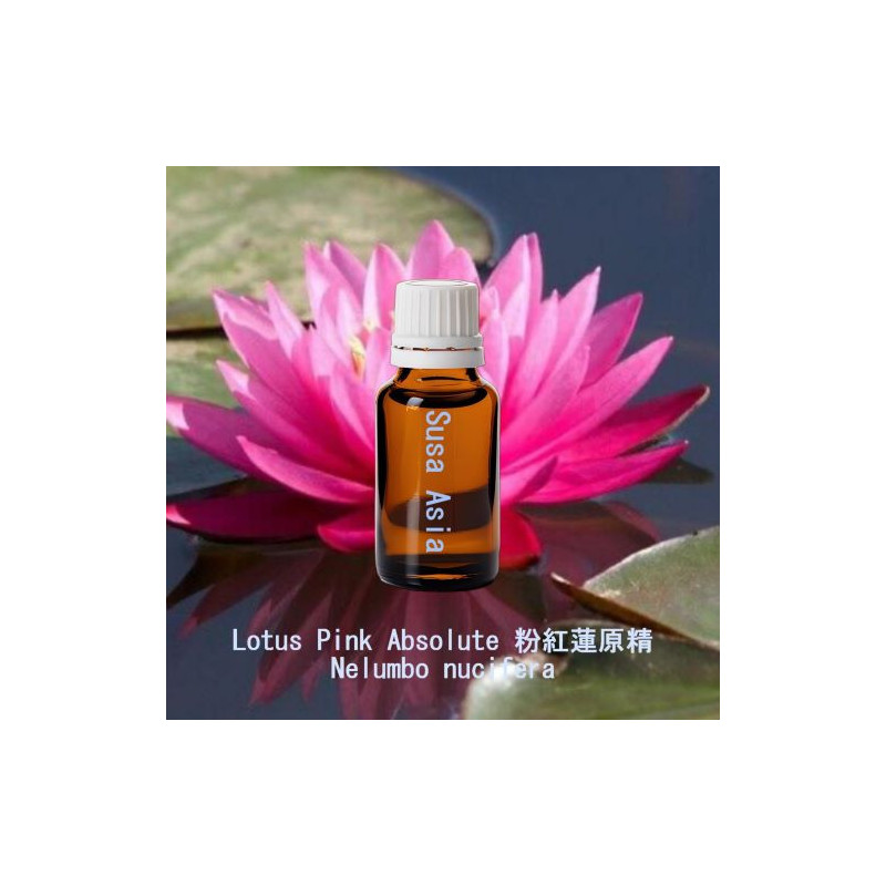 Lotus Pink Absolute 粉紅蓮原精