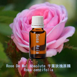 Rose De Mal Absolute 千葉玫瑰原精