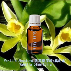 Vanilla Absolute - Vanilla planifolia