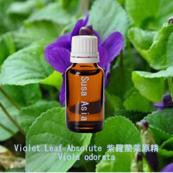 Violet Leaf Absolute - Viola odorata