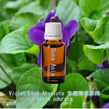 Violet Leaf Absolute 紫羅蘭葉原精