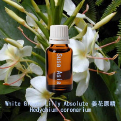 White Ginger Lilly Absolute - Hedychium coronarium