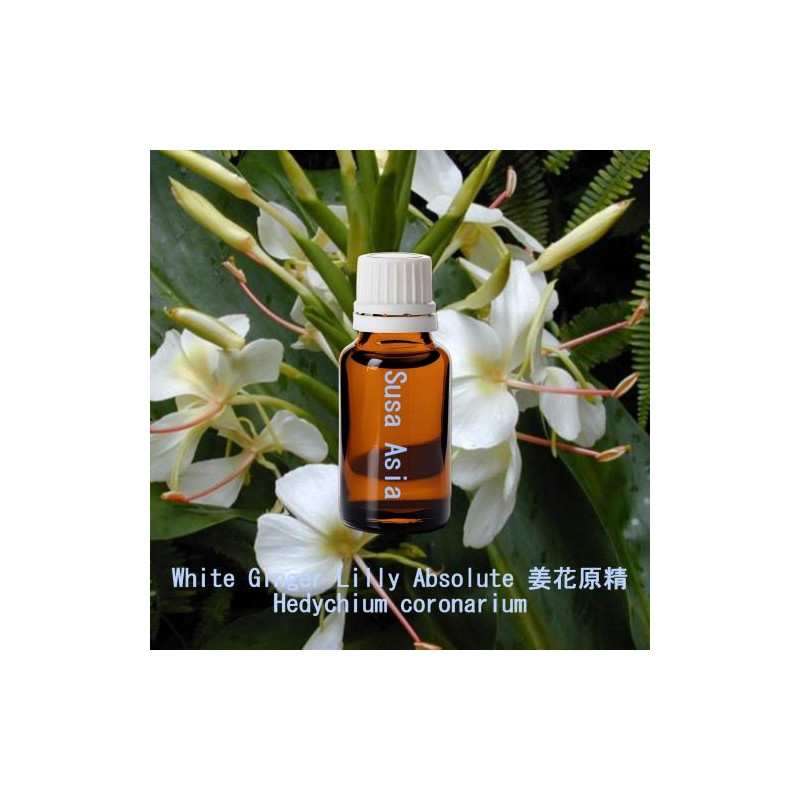 White Ginger Lilly Absolute - Hedychium coronarium