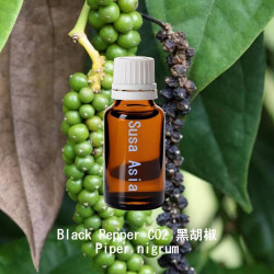 Black Pepper CO2 黑胡椒