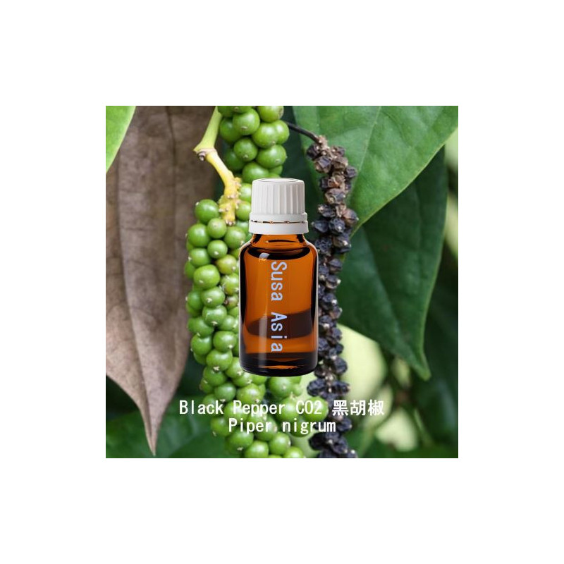 Black Pepper CO2 - Piper nigrum