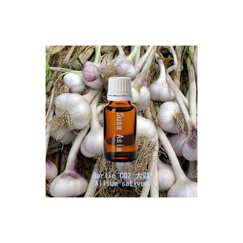 Garlic CO2 - Allium sativum