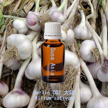 Garlic CO2 - Allium sativum
