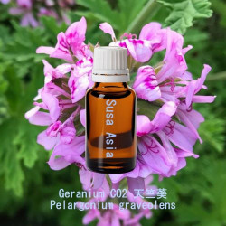 Geranium CO2 - Pelargonium graveolens
