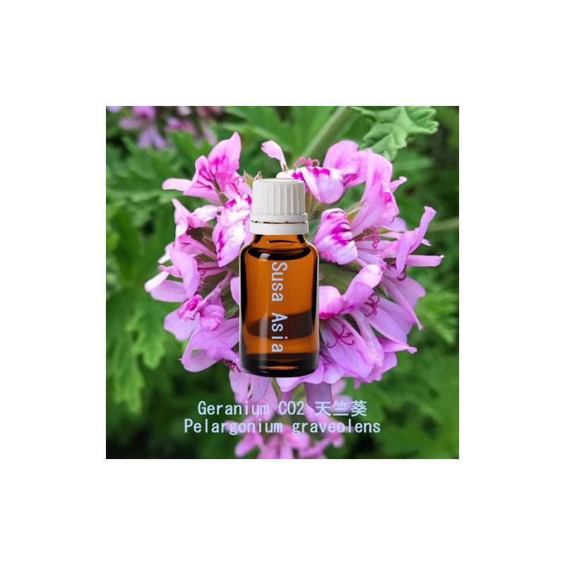Geranium CO2 天竺葵