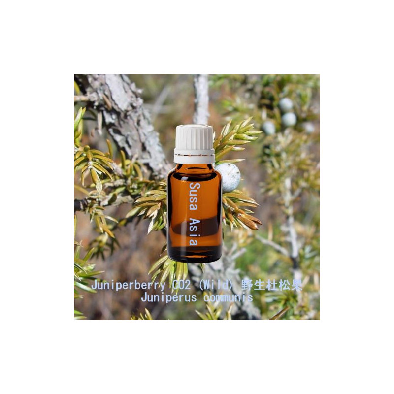 Juniperberry CO2 (wild) - Juniperus communis