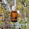Juniperberry CO2 (wild) - Juniperus communis