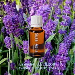 Lavender CO2 薰衣草