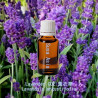 Lavender CO2 薰衣草